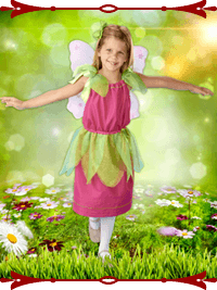 Fairy Princess costume